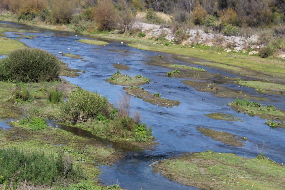 protección de las aguas del río Huasco<