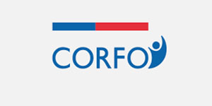 logo corfo