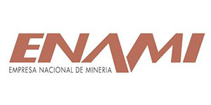 logo enami